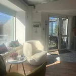 Lily's Place Wexford